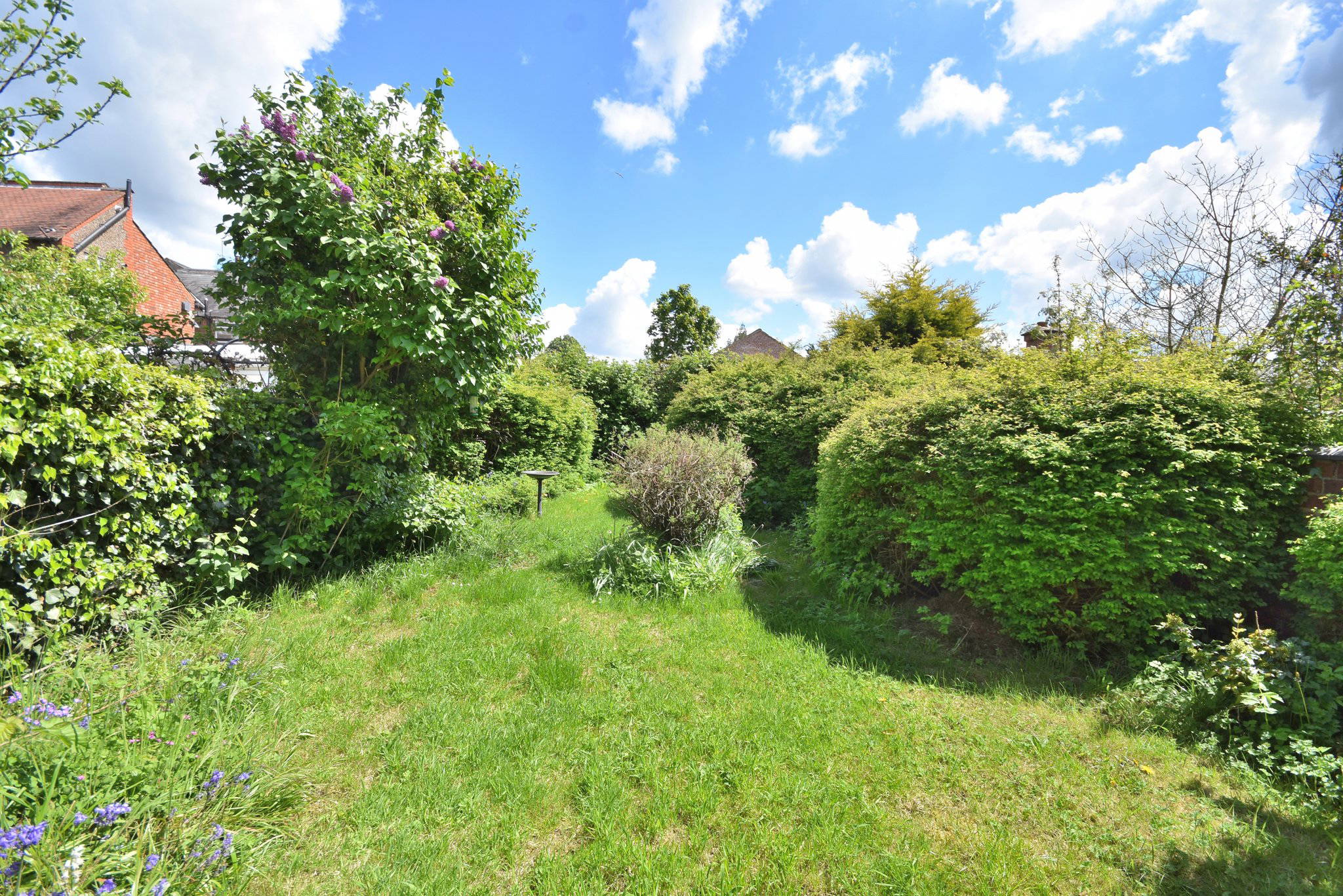 Lime Avenue, NORTHAMPTON Edward Knight Estate Agents