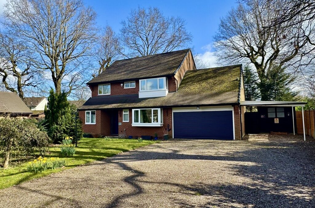 Sedlescombe Park, Rugby