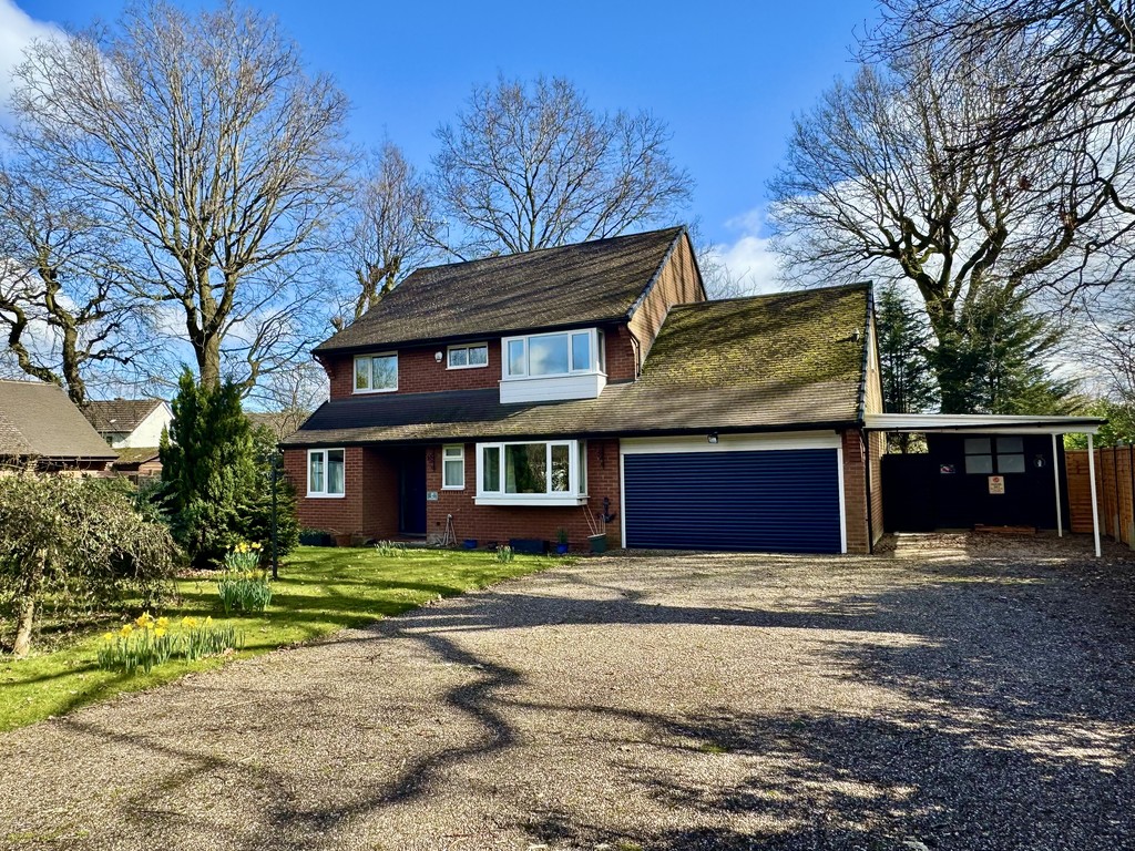 Sedlescombe Park, Rugby
