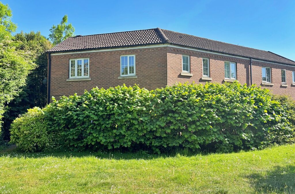 Berrybanks, Bilton