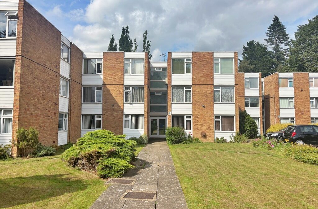 Martin Lane, Rugby