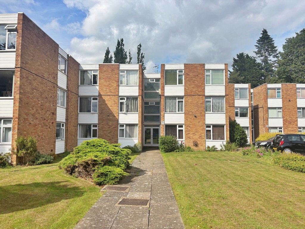 Martin Lane, Rugby