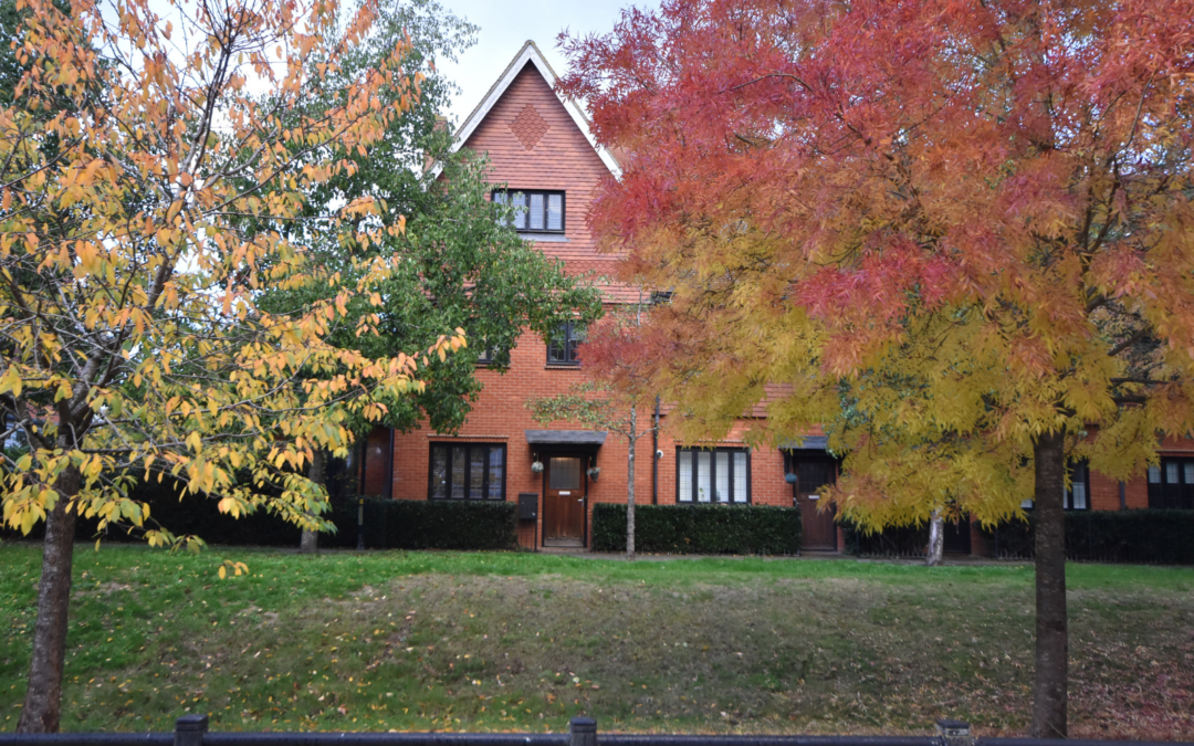 Clickers Drive, Northampton